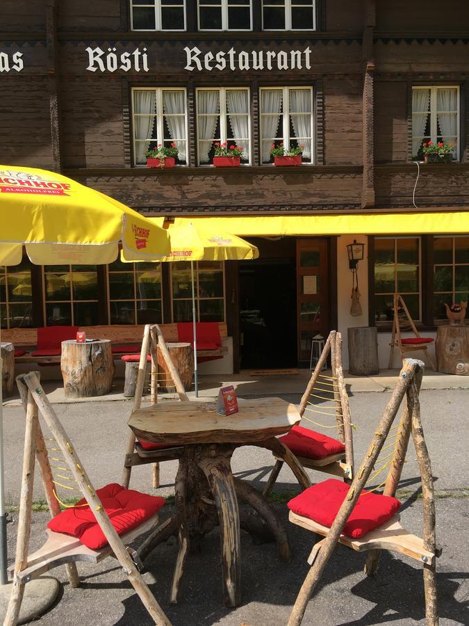 فندق "Terrasse" Nessental Gadmen المظهر الخارجي الصورة